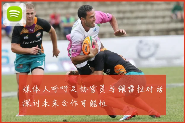 媒体人呼吁足协官员与佩雷拉对话探讨未来合作可能性