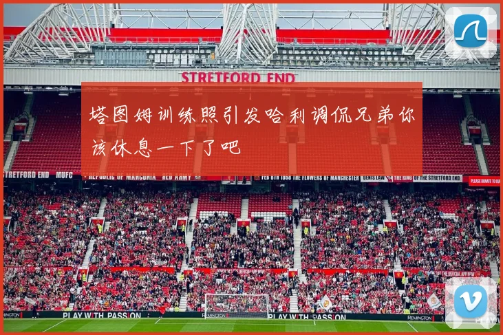 塔图姆训练照引发哈利调侃兄弟你该休息一下了吧