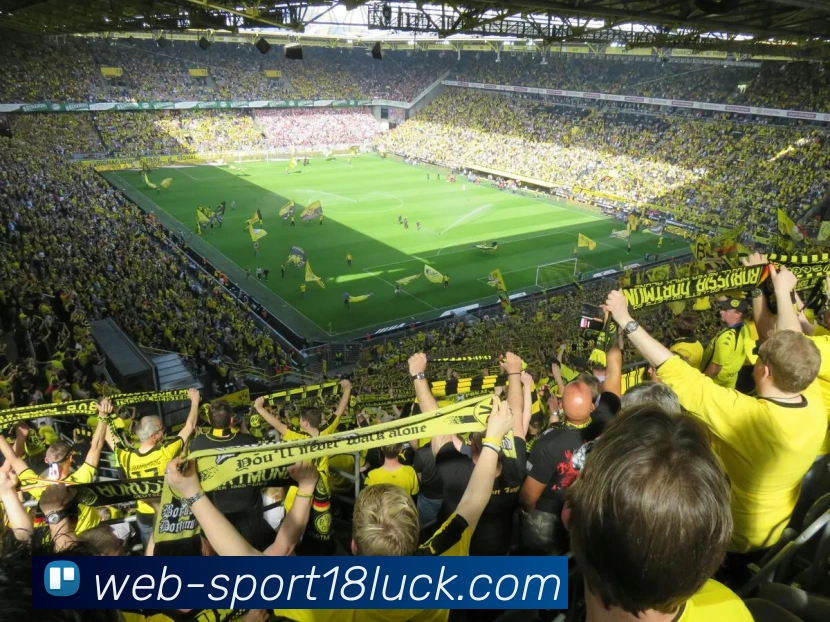 18新利体育发展历程